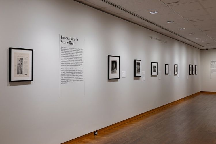 Installation view, Fearless, The Art Institute of Chicago · 2026 (3)
