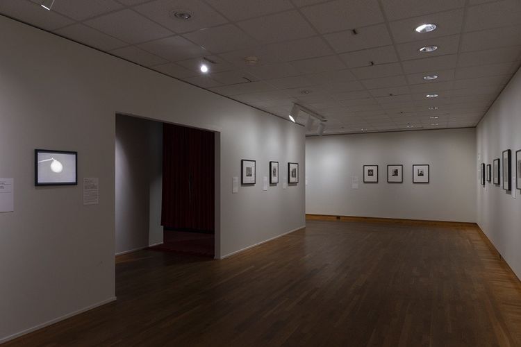 Installation view, Fearless, The Art Institute of Chicago · 2026 (4)