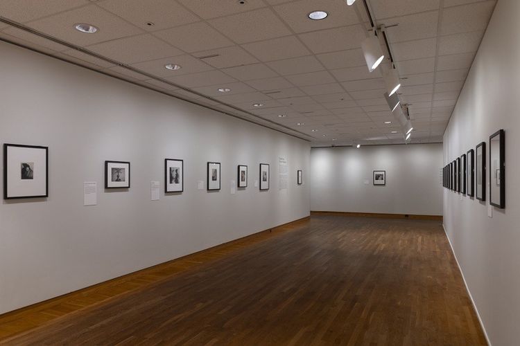 Installation view, Fearless, The Art Institute of Chicago · 2026 (5)