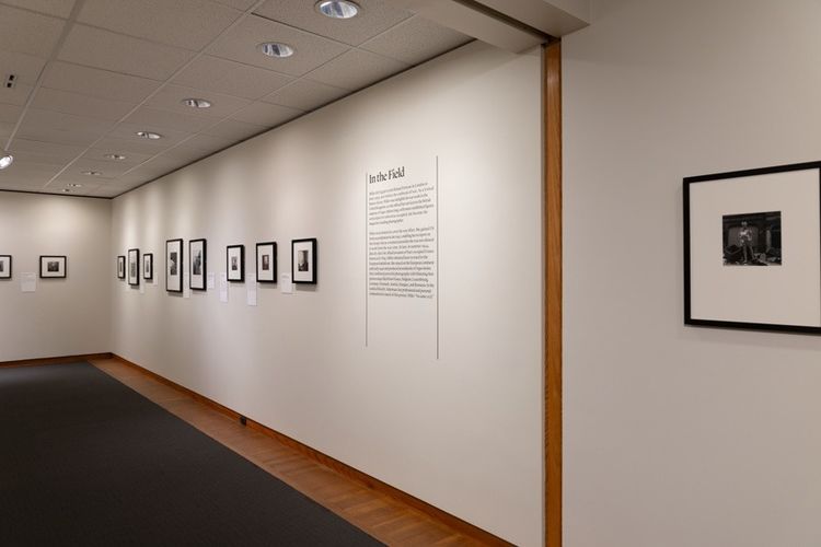 Installation view, Fearless, The Art Institute of Chicago · 2026 (6)