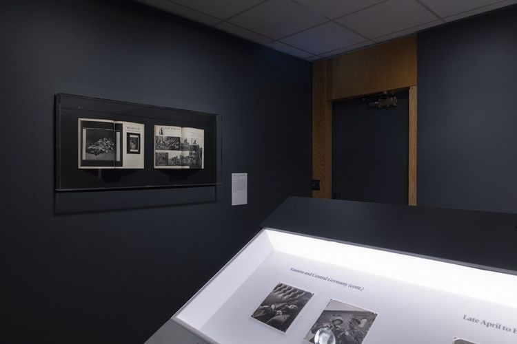 Installation view, Fearless, The Art Institute of Chicago · 2026 (7)