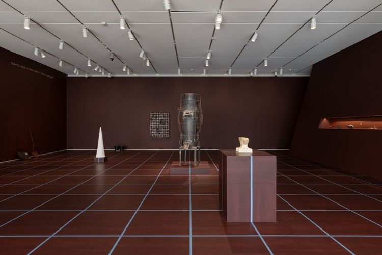 Installation view, Blood of the Earth, The Art Institute of Chicago · 2026 (4)