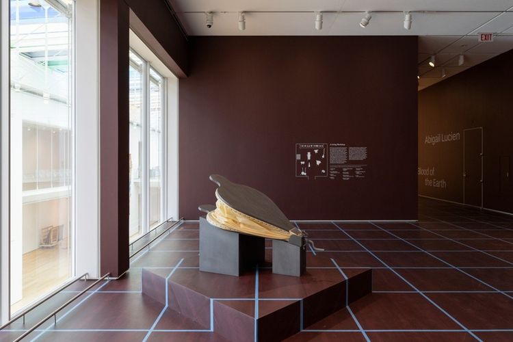 Installation view, Blood of the Earth, The Art Institute of Chicago · 2026 (1)
