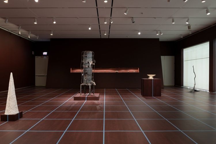 Installation view, Blood of the Earth, The Art Institute of Chicago · 2026 (6)
