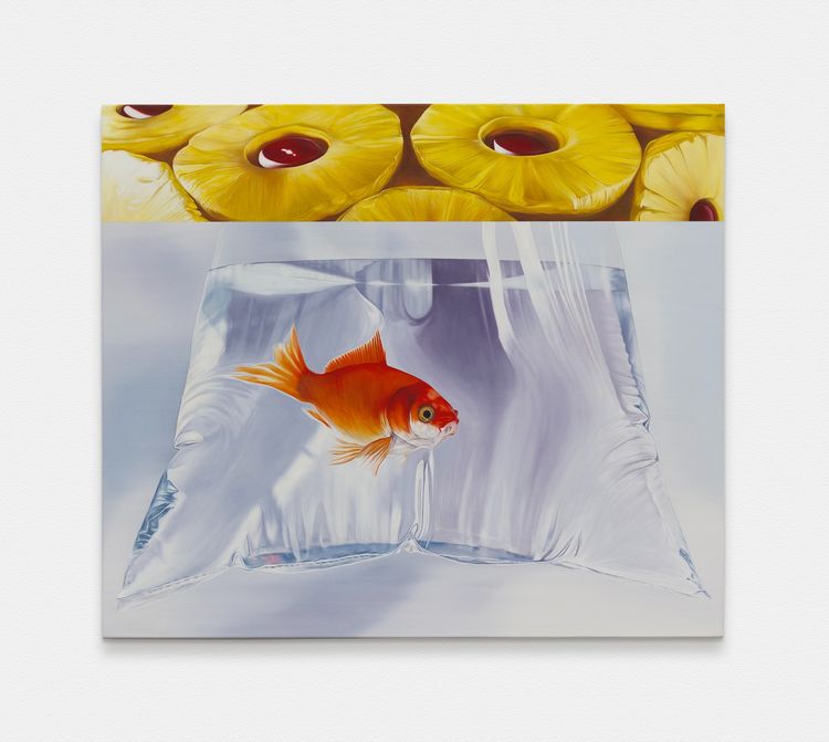 Installation view, The Ágalma, Seventeen