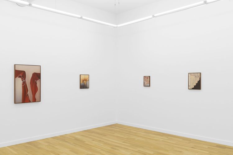 Installation view, The Awnings, DOCUMENT · 2026 (10)