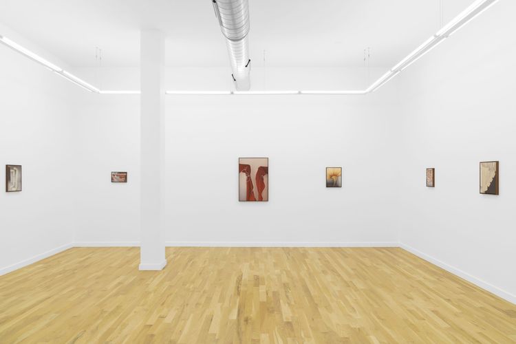 Installation view, The Awnings, DOCUMENT · 2026 (1)