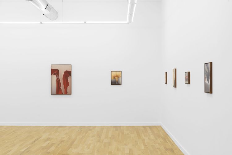 Installation view, The Awnings, DOCUMENT · 2026 (9)