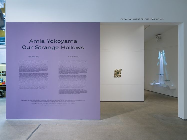 Installation view, Amia Yokoyama, Institute of Contemporary Art