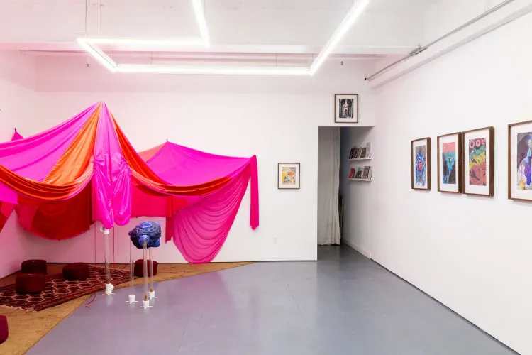 ANAHITA, Amy Rose Khoshbin, installation view, Transmitter, 2026