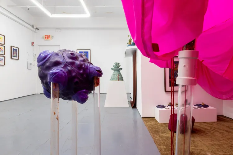 ANAHITA, Amy Rose Khoshbin, installation view, Transmitter, 2026