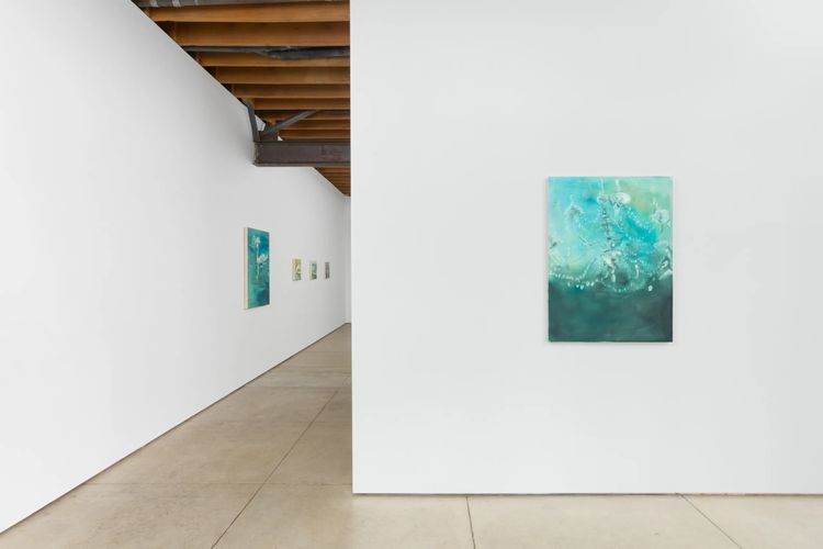 Installation view: Avery Wheless, Echo, OCHI, Los Angeles, CA. 10.17.2026 – 11.14.2026. Courtesy OCHI.