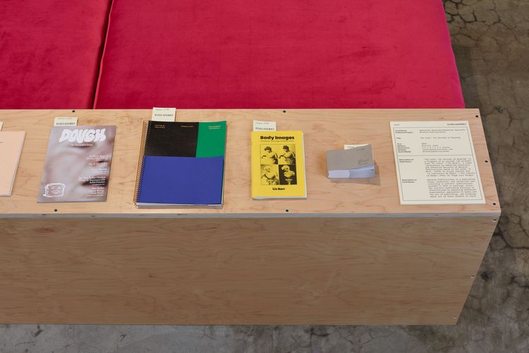 Installation view, a bookwork in many places, Joan · 2026 (16)