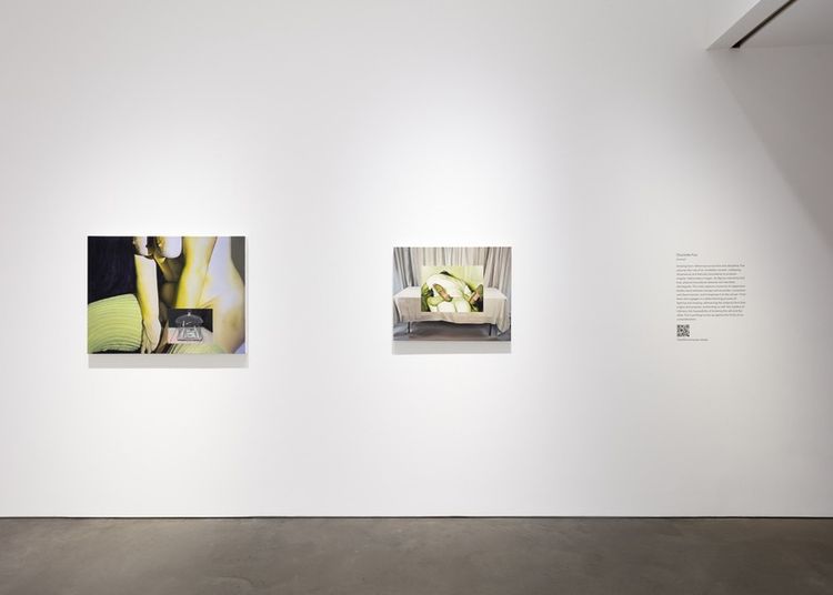 Installation view, Charlotte Fox, 303 Gallery · 2026 (1)