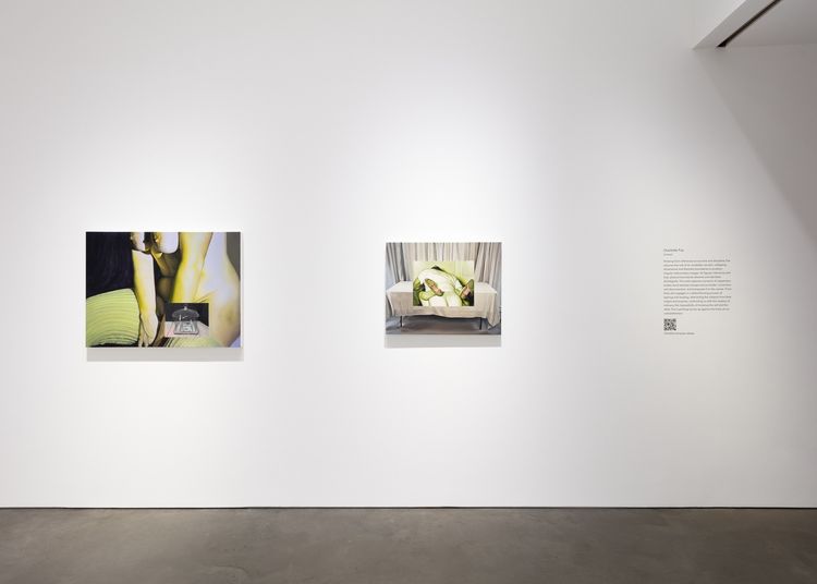 Installation view, Charlotte Fox, 303 Gallery · 2026 (6)