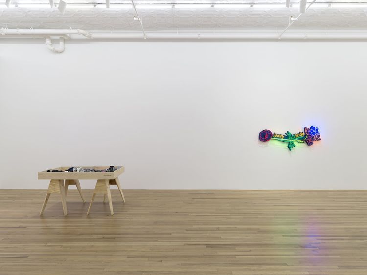 Installation view, Andrea Bowers: Democracy Needs Our Courage, Andrew Kreps Gallery, New York, 2026. Photo: Elisabeth Bernstein