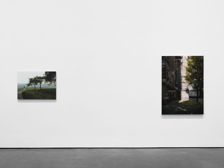Installation view, Landschaften, David Zwirner, 537 West 20th Street · 2026 (7)