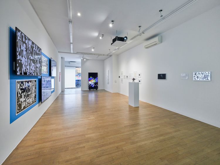 Installation view, Freedom, bitforms gallery · 2025 (12)