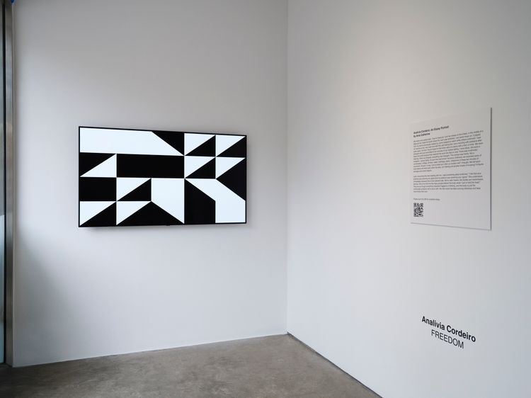 Installation view, Freedom, bitforms gallery · 2025 (8)