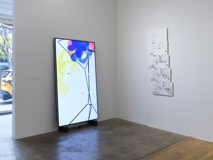 Installation view, Freedom, bitforms gallery · 2025 (9)