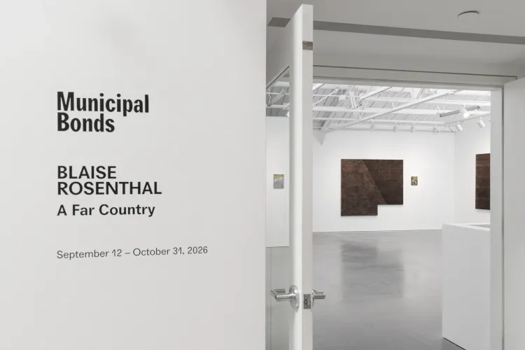 Installation view, Blaise Rosenthal: A Far Country, Municipal Bonds
