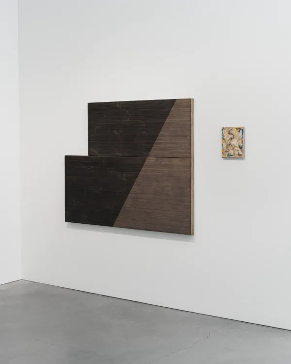 Installation view, Blaise Rosenthal: A Far Country, Municipal Bonds · 2026 (8)