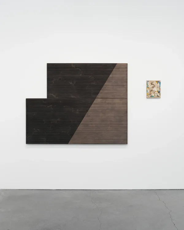 Installation view, Blaise Rosenthal: A Far Country, Municipal Bonds · 2026 (9)