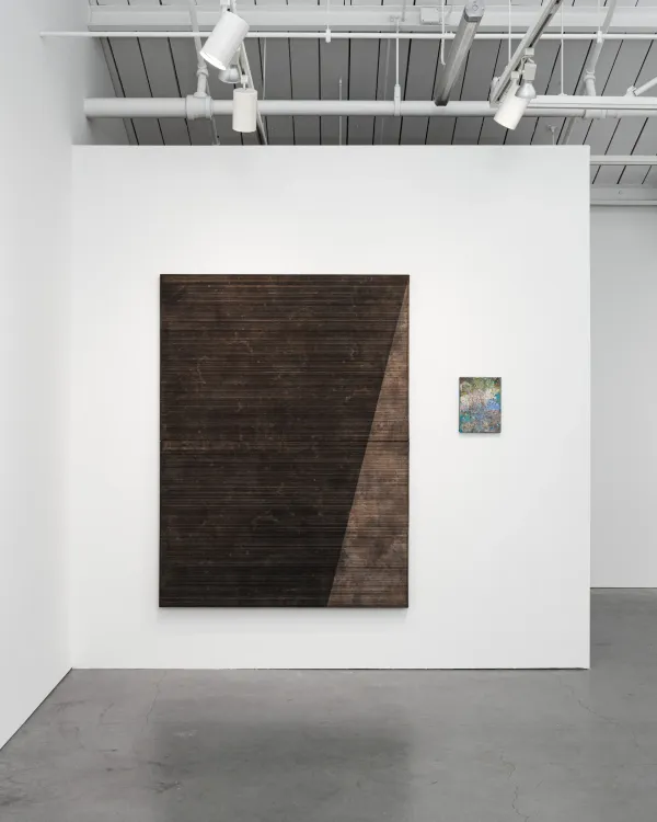 Installation view, Blaise Rosenthal: A Far Country, Municipal Bonds · 2026 (14)