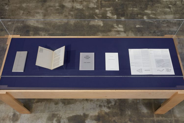 Installation view, a bookwork in many places, Joan · 2026 (19)