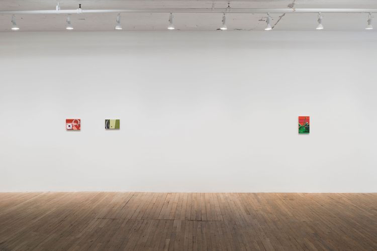 Installation view, Altoon Sultan, Hoffman Donahue · 2026 (8)