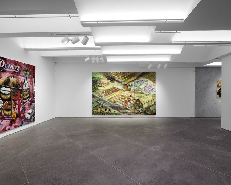 Installation view, Oscar Oiwa: The Supplemental Sublime, GOCA, New York, 2026