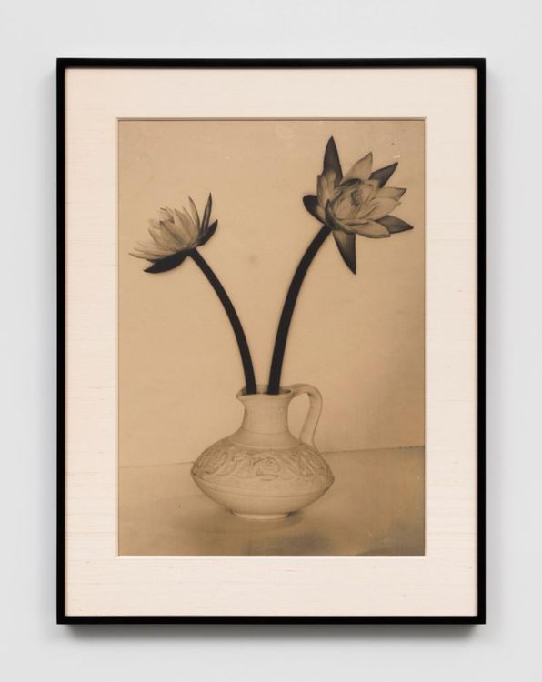 Installation view, Lionel Wendt, American Art Catalogues · 2026 (8)