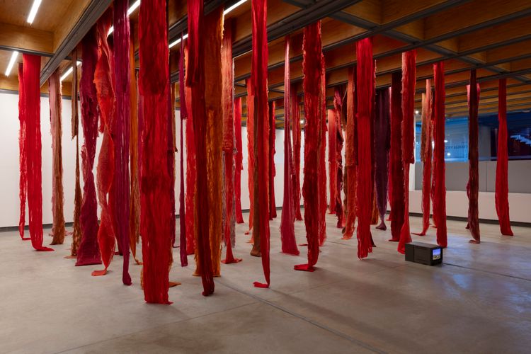 Installation view, Cecilia Vicuña at Whitechapel Gallery, Whitechapel Gallery