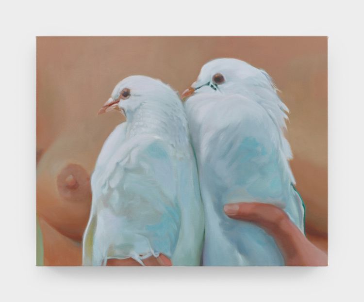 Installation view, Bucket of Birds, Night Gallery · 2026 (8)