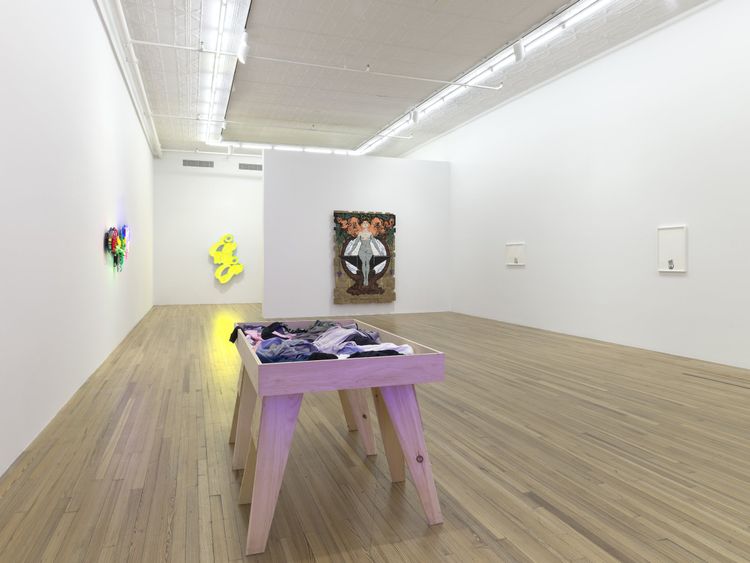Installation view, Andrea Bowers: Democracy Needs Our Courage, Andrew Kreps Gallery, New York, 2026. Photo: Elisabeth Bernstein