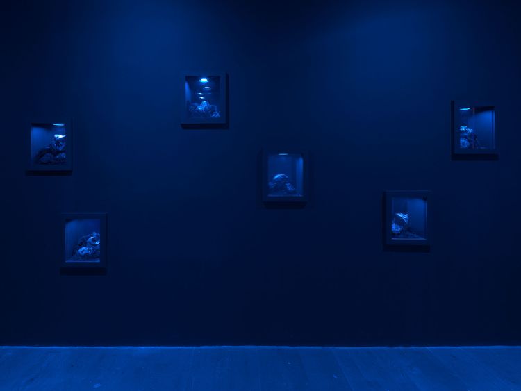 Installation view, Child/ren of the Bloom, Pioneer Works · 2026 (4)
