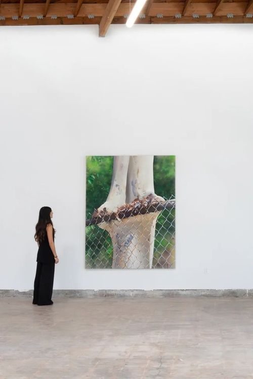 Installation view, Things I Can't Unsee, Good Mother Gallery · 2025 (6)