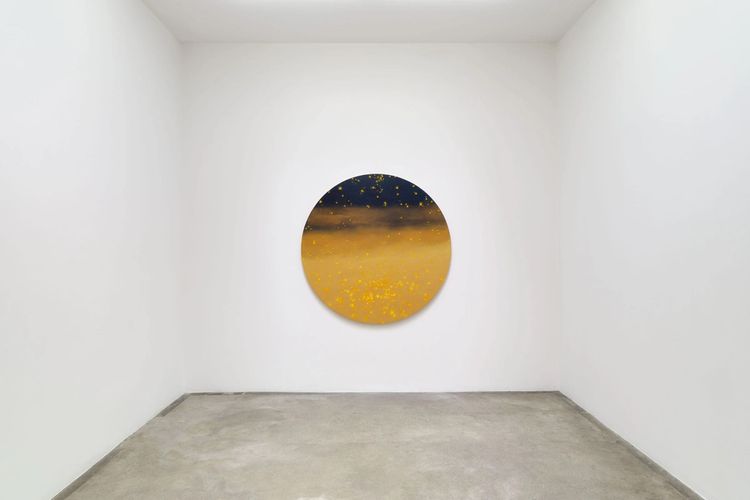 Installation view, Prelude to the Sun, Tanya Bonakdar Gallery, Los Angeles · 2025 (2)