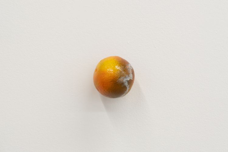 Installation view, Éramos silencios, Mariane Ibrahim Gallery · 2026 (22)