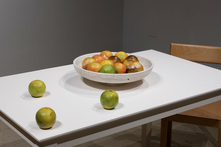 Installation view, Éramos silencios, Mariane Ibrahim Gallery · 2026 (10)