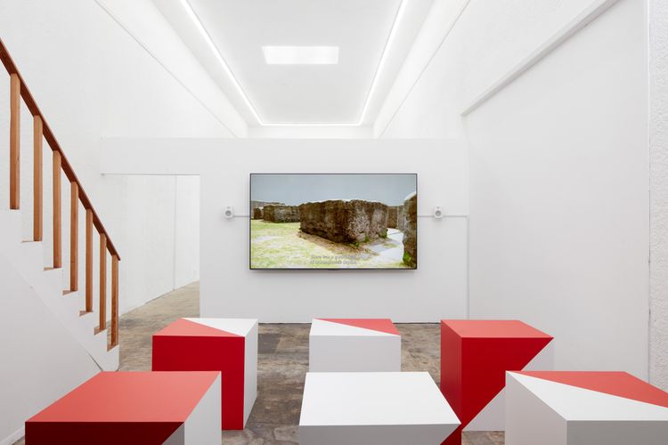 Installation view, Latent Space, Ehrlich Steinberg · 2025 (4)