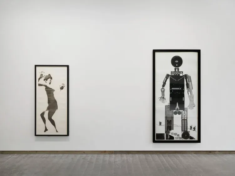 Installation view, Colin Self Unseen, Frith Street Gallery