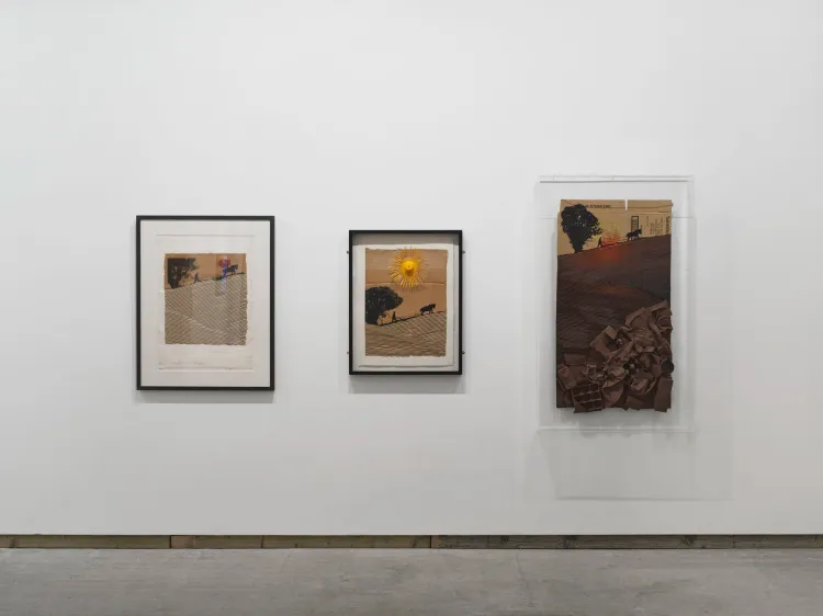 Installation view, Colin Self Unseen, Frith Street Gallery