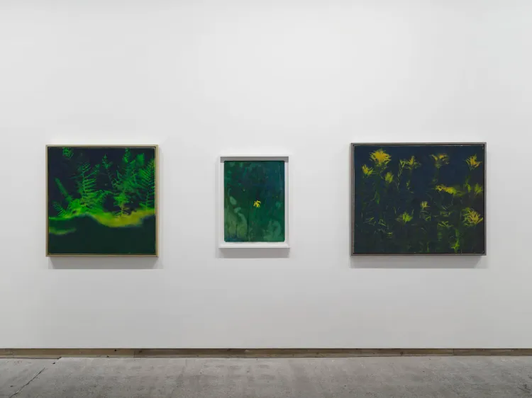 Installation view, Colin Self Unseen, Frith Street Gallery
