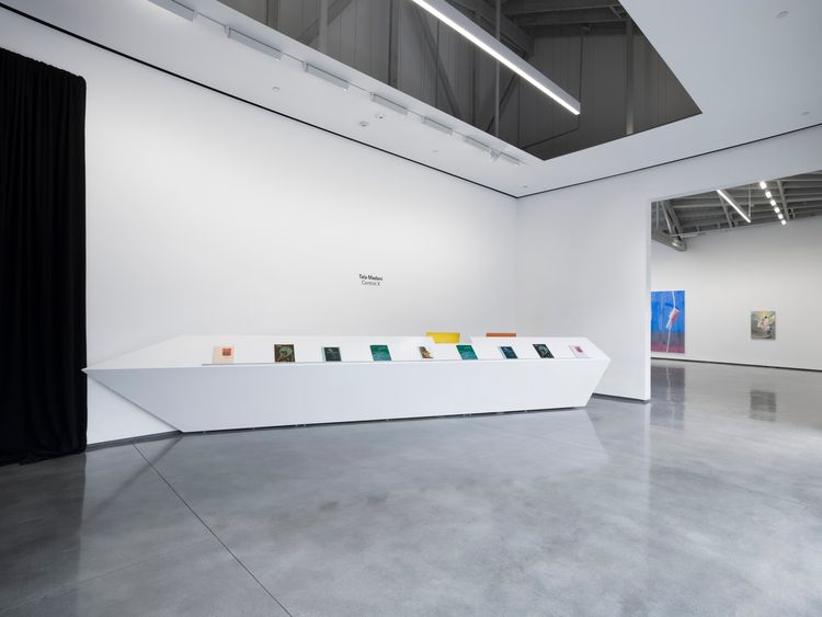 Installation view, Control X, David Kordansky Gallery · 2026 (1)