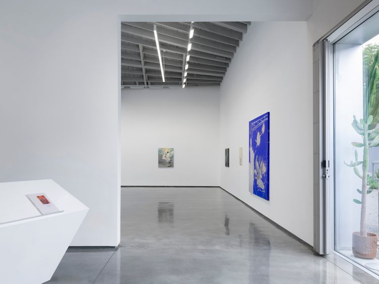 Installation view, Control X, David Kordansky Gallery · 2026 (2)