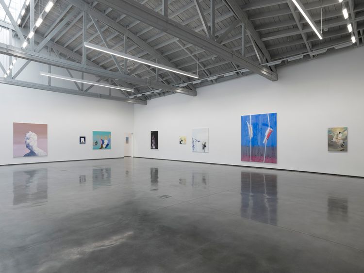 Installation view, Control X, David Kordansky Gallery · 2026 (3)