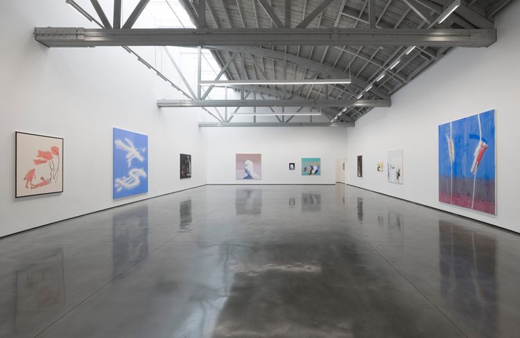 Installation view, Control X, David Kordansky Gallery · 2026 (4)