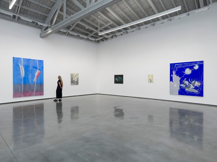 Installation view, Control X, David Kordansky Gallery · 2026 (5)