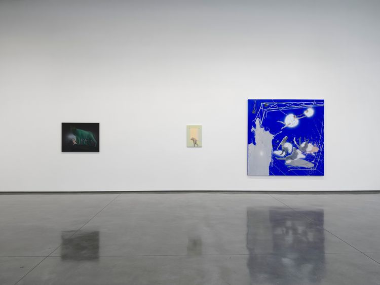 Installation view, Control X, David Kordansky Gallery · 2026 (6)